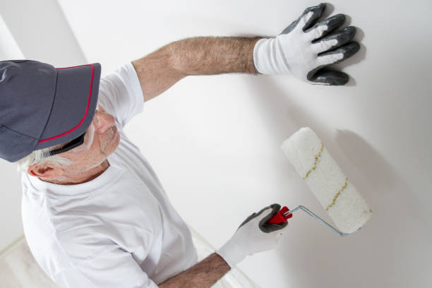 Best Mold Prevention Services  in Lorado City, CO