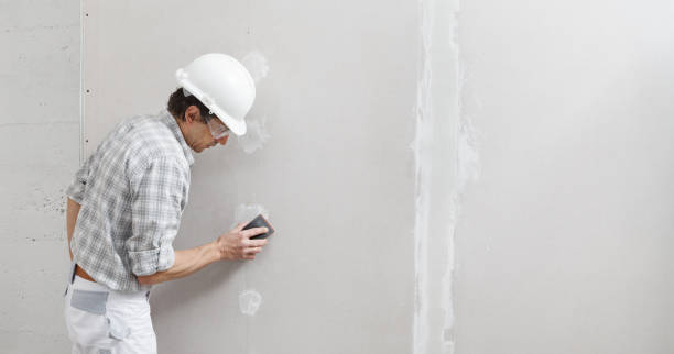 Best Emergency Mold Remediation  in Lorado City, CO