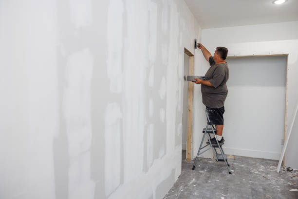 Best HVAC Mold Inspection and Cleaning  in Lorado City, CO