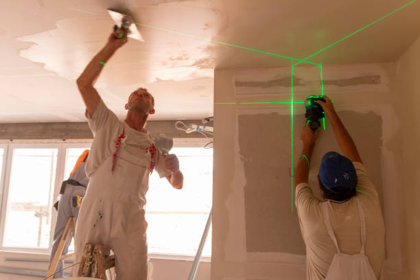 Best Mold Odor Removal Services  in Lorado City, CO