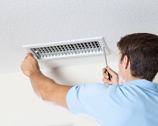 Best Mold Remediation for Healthcare Facilities  in Lorado City, CO