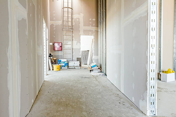 Best Mold Removal for HVAC Installations  in Lorado City, CO