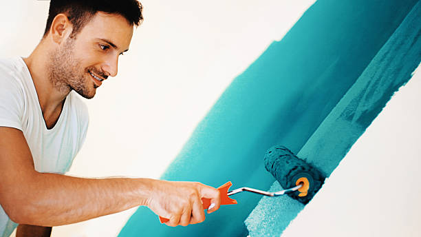 Best Forensic Mold Investigation  in Lorado City, CO
